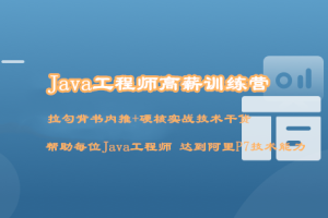 Java工程师高薪训练营【完结】