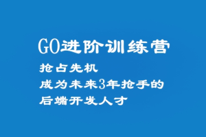 GO进阶训练营【完结】