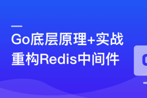 深入Go底层原理，重写Redis中间件实战