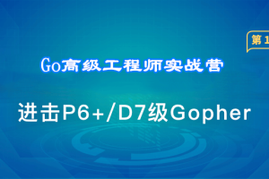 Go高级工程师实战营