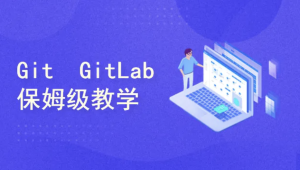 保姆级教学 Git/GitLab/GitHub/Gitee/IDEA集成，手把手教会你