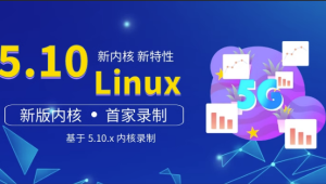 王利涛 嵌入式工程师自我修养系列视频教程 Linux三剑客