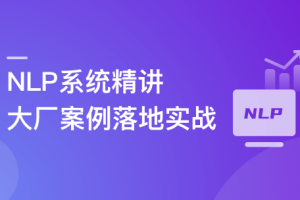 NLP系统精讲与大厂案例落地实战（已完结）