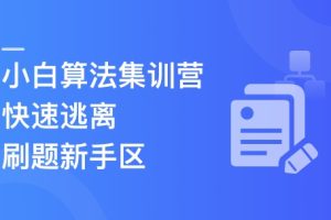 小白算法集训营-大幅提升刷题量，快速逃离新手区（已完结）